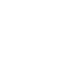 Data Automation